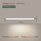 LED Ceiling Light for Aisle Bedroom Living Room - Modern Nordic Design