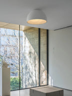 Nordic Wood Grain Ceiling Lamp: Minimalist Designer Art for Living Room & Bedroom