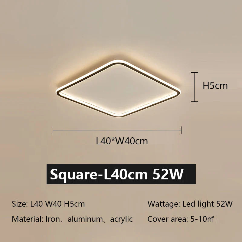 LED Ceiling Lamp Iron Dimmable Modern Living Room Light Fixture
