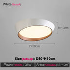 Modern LED Ceiling Lamp for Bedroom Living Dining Master Room