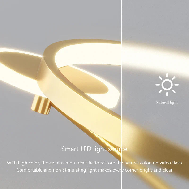 Circular LED Ceiling Lamp with Remote Control for Bedroom & Aisle Lighting