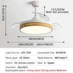 DC Motor Ceiling Fan Light with Control for Bedroom, Living Room & Restaurant.