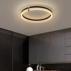 Minimalist Remote Control Round LED Ceiling Lamp for Bedroom and Living Room
