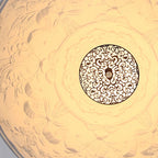 SkyGarden LED Pendant Chandelier: Stylish Lighting Fixtures for Dining & Bedroom