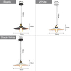 Industrial Loft Chandelier Pendant Lamp LED Edison Vintage Hanging Light