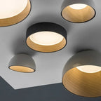 Duo Ceiling Light Kitchen Living Room Bedroom Wood Lamp Post-modern Design