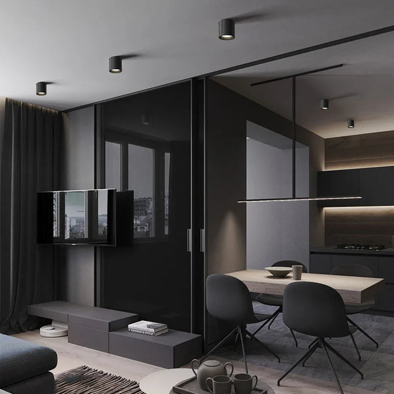 LED Downlight Ceiling Spotlights 5/10/15/25W for Indoor Kitchen Lighting