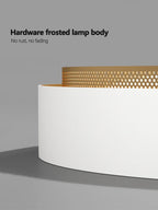 Modern Minimalist Bedroom Ceiling Lamp Luxury Nordic Design