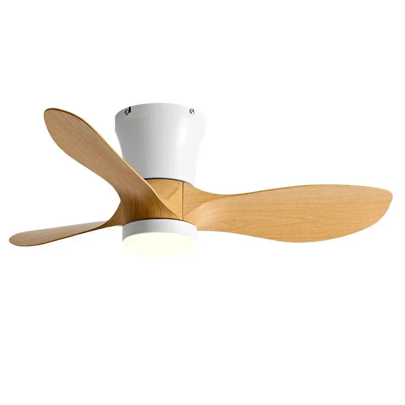 Smart DC Motor Ceiling Fan 6 Speed Remote Control 24CM Luxurious Design