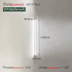 Long Strip Wall Lamp: Minimalist Luxe Ceiling Light for Living Room, Bedroom, Aisle