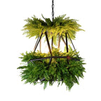 LED Hanging Plants Chandelier for Living Room - Eye Protection Green Light
