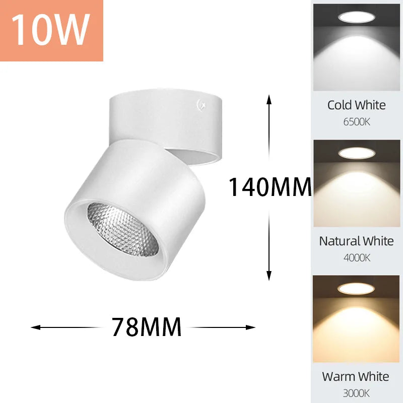LED Downlight Ceiling Spotlights 5/10/15/25W for Indoor Kitchen Lighting