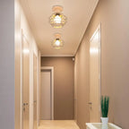 Retro Metal Cage Ceiling Lamp E27 for Indoor Lighting by Afralia™