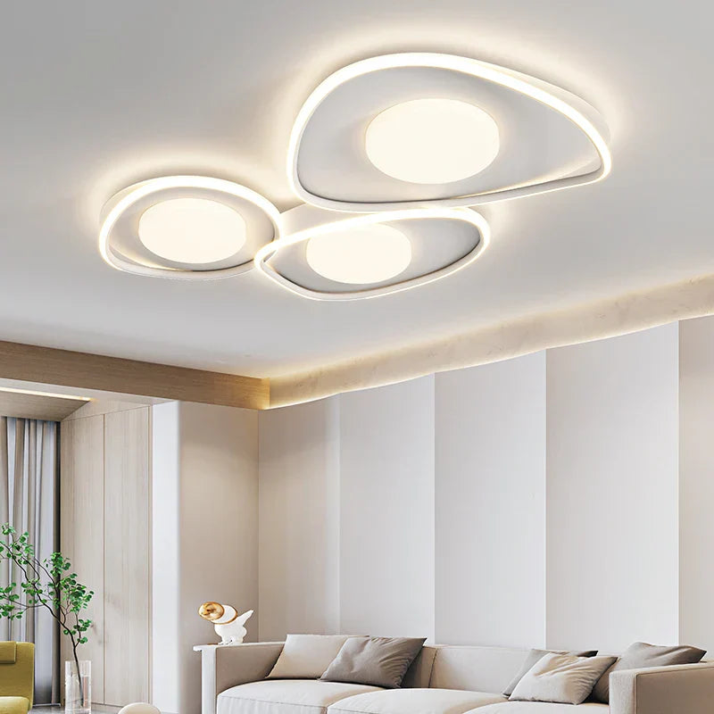 LED Ceiling Lights White Black Infinite Dimming Home Lighting Fixtures