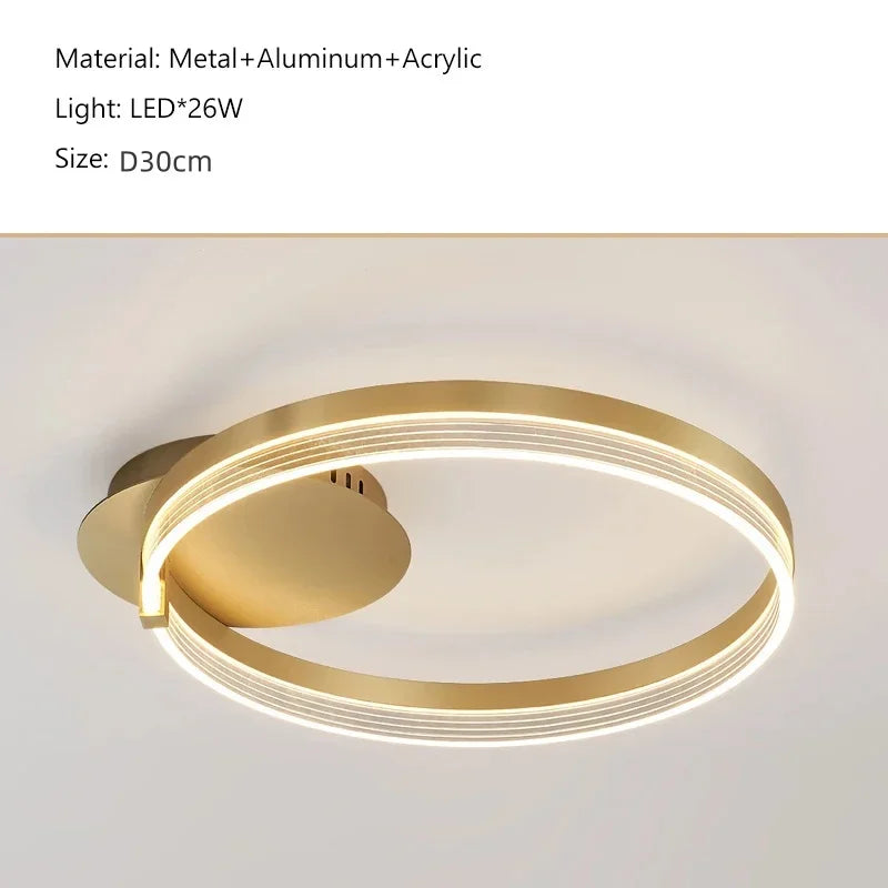 Acrylic Round Ring Ceiling Light LED Chandelier Modern Minimalism for Living Room and Kitchen