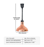 Electric Food Heat Lamp: Telescopic Pendant Light for Restaurant's Kitchen Fixtures