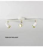 Modern Black LED Ceiling Chandelier Spotlight for Living Room, Bedroom, Dining - Light Fixtures