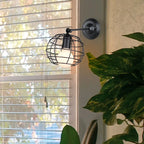 Vintage Wire Cage Wall Sconces Lights for Home Decor