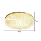 Round Acrylic Ceiling Lamp: Modern Light Luxury for Bedroom & Living Room