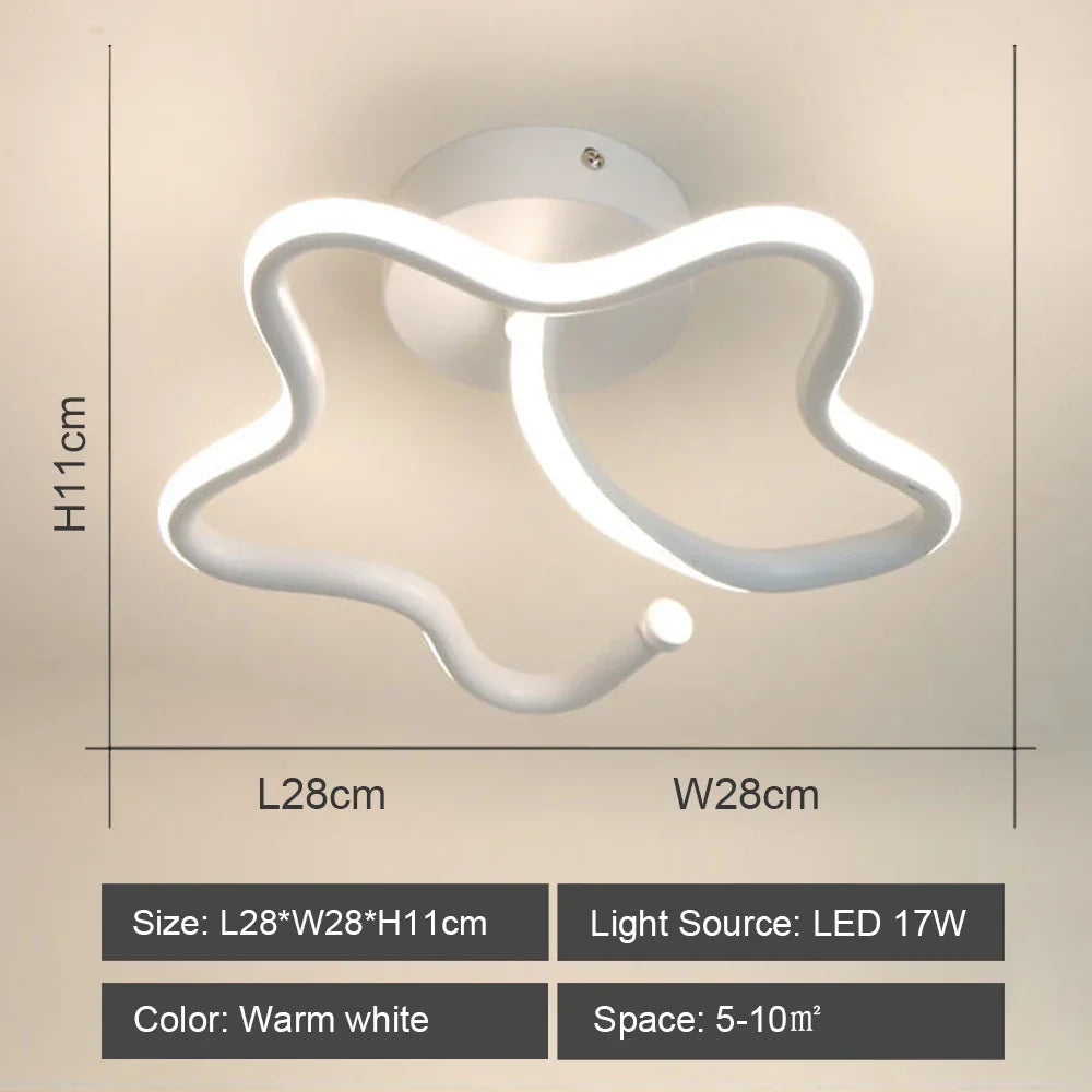 LED Ceiling Light for Modern Living Room Bedroom Lighting