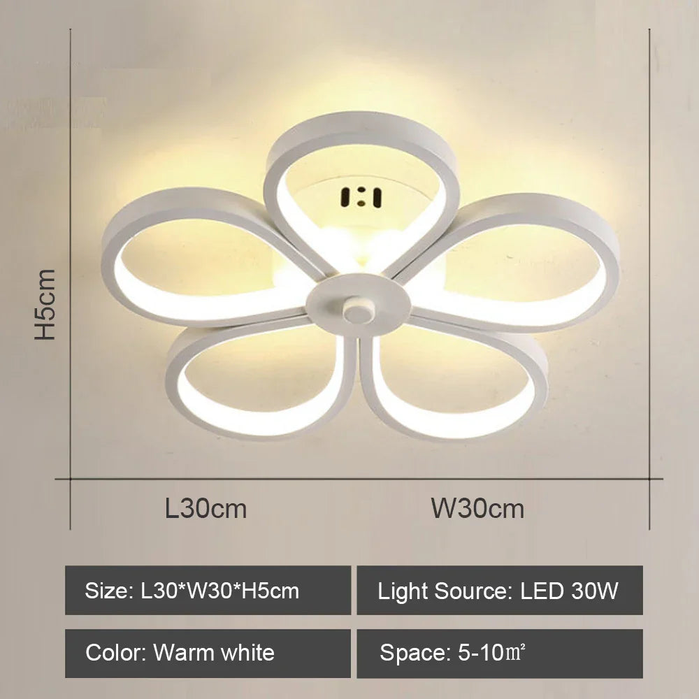 LED Ceiling Light for Modern Living Room Bedroom Lighting