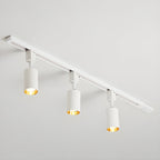 Sleek Cylinder Track Light