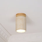 Terra Cylinder Ceiling Light