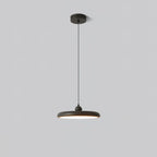 Thin Disc Pendant Lamp