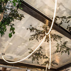Flexible Curve Pendant Lamp