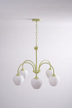 Tulip Matcha Chandelier