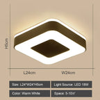 LED Ceiling Lights: Modern Shade for Home & Living Room Lighting