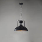 Vintage Industrial Collections Pendant Light