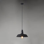 Vintage Industrial Collections Pendant Light