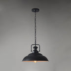 Vintage Industrial Collections Pendant Light