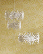 Bismarkia Medium White Chandelier