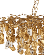 Lucullan Gold Chandelier