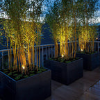 Outdoor Waterproof LED Spotlight Tree Lights Landscape Lighting for Courtyard Lawn